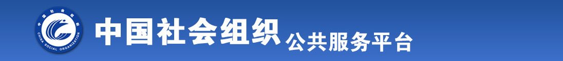 抽插.com全国社会组织信息查询